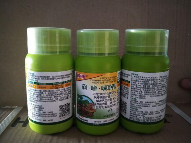 四子王旗 北疆草原上的农业创新之路
