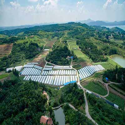 智慧农业综合开发项目实施方案——以现代智慧蔬菜大棚建设为核心